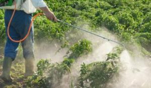 Pesticide-spraying