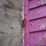 trap out wall